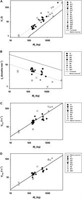 Comparative Respiratory Physiology in Cetaceans